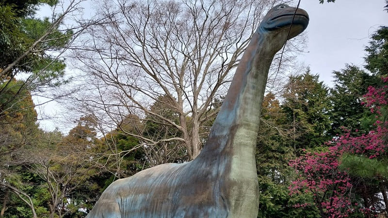 超巨大なブラキオザウルスのすべり台の写真